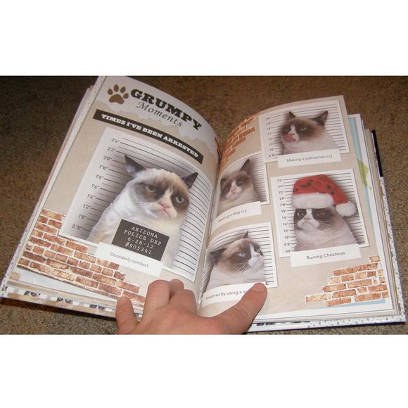 Brand NEW Grumpy Cat Hard cover book Great gag gift! - Picture 4 of 4